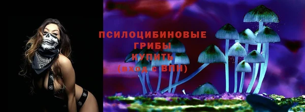 экстази Новодвинск