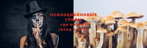 экстази Новодвинск