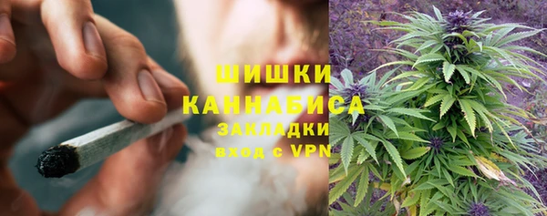 дживик Новокубанск