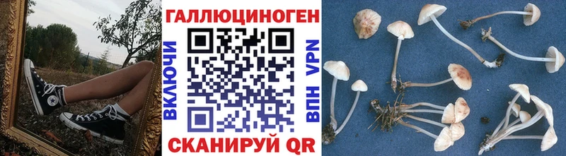 Псилоцибиновые грибы Psilocybine cubensis  магазин    KRAKEN онион  Углегорск 